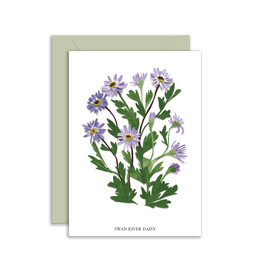 Card - Swan River Daisy
