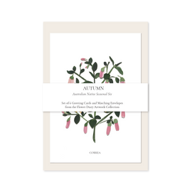 Set of 6 greeting cards with matching envelopes featuring correa design on a white background.