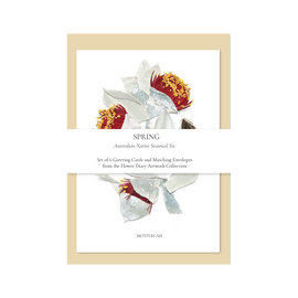 Set of 6 greeting cards with floral design and 'Spring' text on a white background