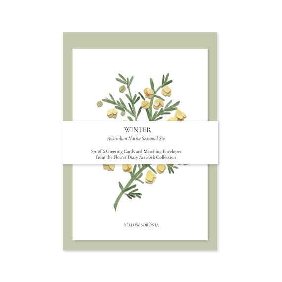 Set of 6 greeting cards with matching envelopes featuring yellow boronia design on a white background.