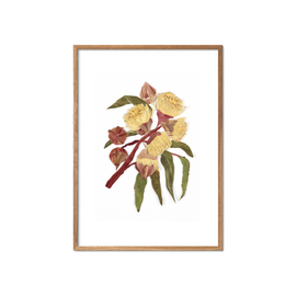 Framed botanical artwork of yellow flowers and green leaves on a white background