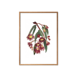 Framed artwork of a floral design with red and green elements on a white background
