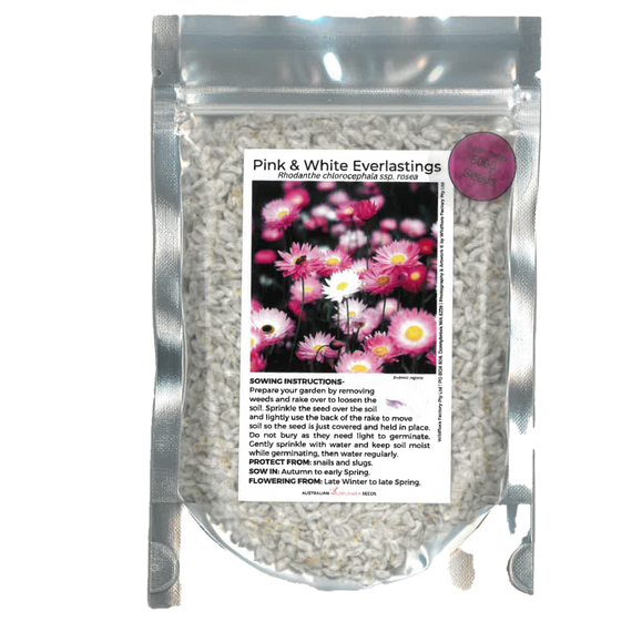 Everlastings (Pink and White) Seeds ss rosea