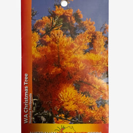 Australian Wildflower Seeds packet with WA Christmas Tree design on a white background