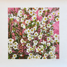 Limited Edition White Diamonds Print