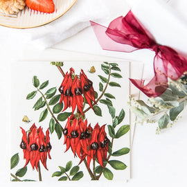 Sturt Desert Pea Card