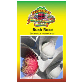 Bush Rose Seeds