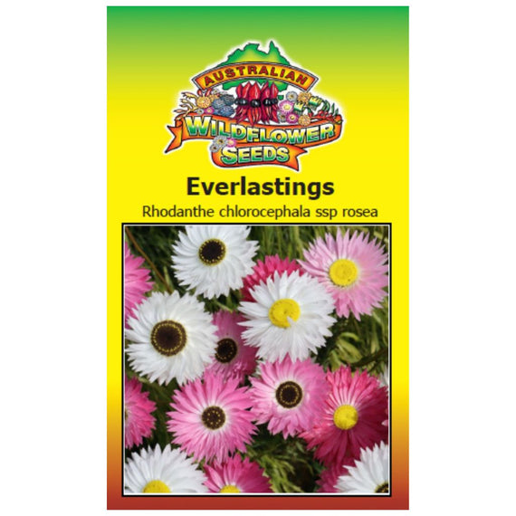 Everlastings (Pink and White) Seeds