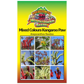 Mixed Colours Kangaroo Paw Seeds