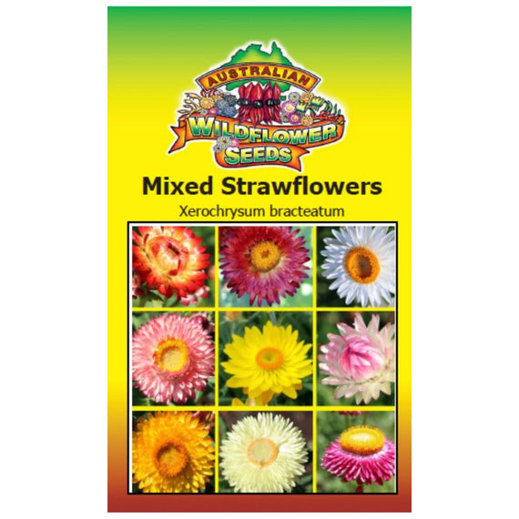 Mixed Strawflowers Seeds