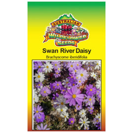 Swan River Daisy Seeds