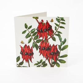 Sturt Desert Pea Card