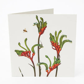 Kangaroo Paw Card