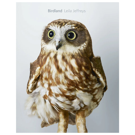 Birdland by Leila Jeffreys