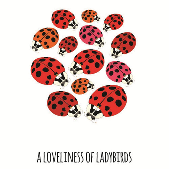 101 Collective Nouns Aspects of Kings Park