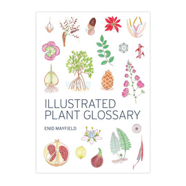 Illustrated Plant Glossary