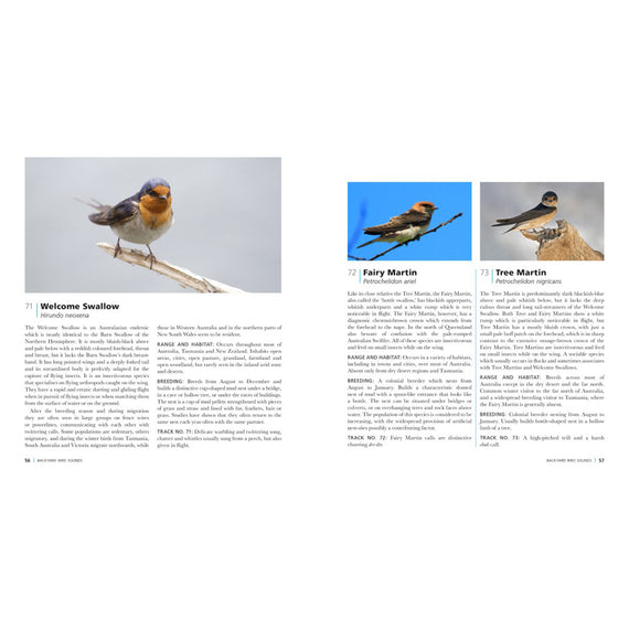 Backyard Bird Sounds Aspects of Kings Park