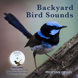 Backyard Bird Sounds