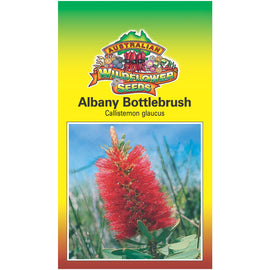 Albany Bottlebrush Seeds