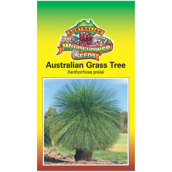 Australian Grass Tree Seeds