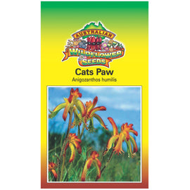 Cats Paw Seeds