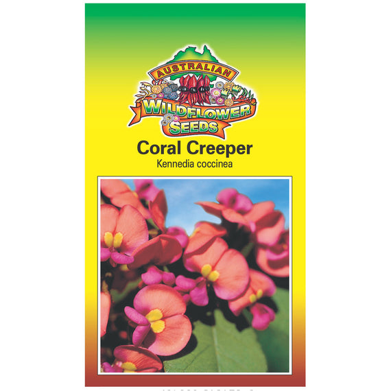 Coral Creeper Seeds