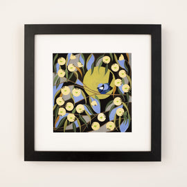 Blue Wren Among the Marri Blooms Print