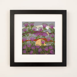 Matchstick Banksia Print