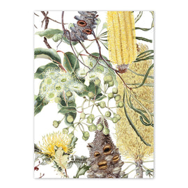 Jarrah Forest Wildflowers 1 Card