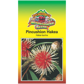 Pin-cushion Hakea Seeds