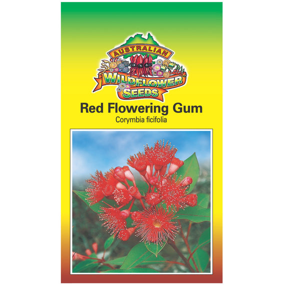 Red Flowering Gum Seeds