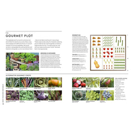 Step-by-step Veg Patch