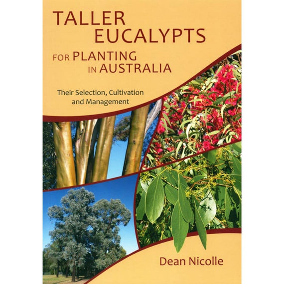 Taller Eucalypts for Planting in Australia