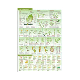 Botanical Field Guide