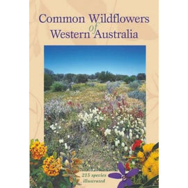 Common Wildflowers of Western Australia
