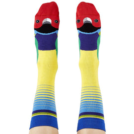 Gouldian Finch Socks