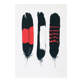 Red-tailed Black Cockatoo Feathers Print