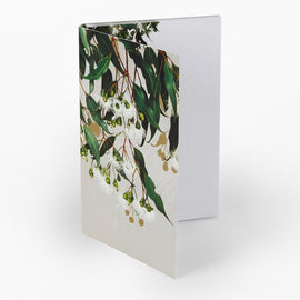 Marri Gum Notepad