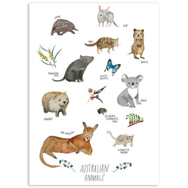 Australian Animals Card