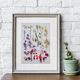 Wildflower Spectrum Print