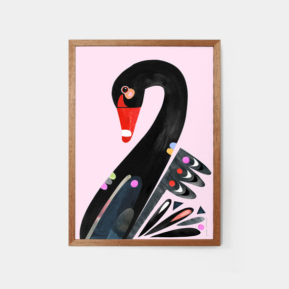 Black Swan Art Print – Aspects of Kings Park