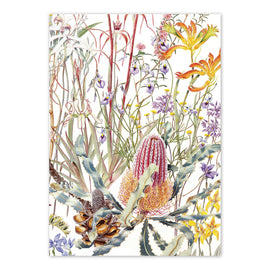 Swan Coastal Plain Wildflowers Card